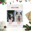 Recherche de deux chiens vœux cartes Vacances