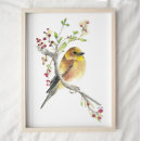 Zoek naar kanarie posters Zangvogel