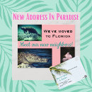 Recherche de photo de palmier cartes postales Family