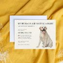 Recherche de labrador invitations Chiot