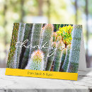 Zoek naar cactussen Botanisch