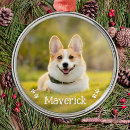 Zoek naar huisdierbenodigdheden Creëer je eigen