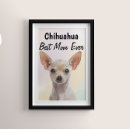 Recherche de chien domestique posters Pour elle