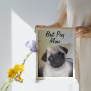 Recherche de pug decor Pour elle