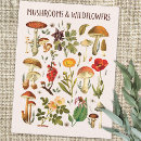 Zoek naar illustraties briefkaarten Planten
