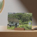 Recherche de peinture médiévale cartes postales Imaginaire