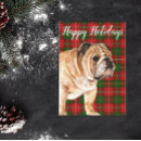 Recherche de noël de chien cartes postales Rouge