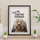 Recherche de terrier posters Amoureux des animaux