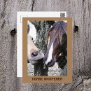 Recherche de cheval humoristique cartes postales Humour
