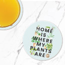 Recherche de plantes dessous de verres Tropical