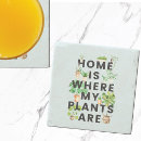 Recherche de plantes dessous de verres Tropical