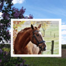 Recherche de lames cartes postales Ferme