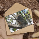 Recherche de endormi cartes postales Australie