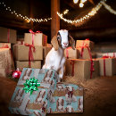 Recherche de chèvre papier cadeau Xmas