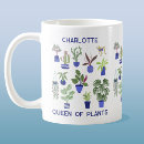 Recherche de cactus vert tasses Dame plante folle