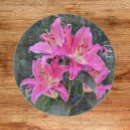 Recherche de fleur de lys planches à découper Floral