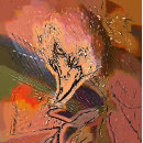 Recherche de rapace carreaux Oiseaux