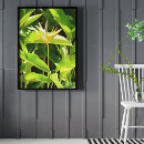 Recherche de oiseau du paradis posters Plante