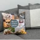 Recherche de cute cat coussins Mignon