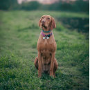 Recherche de funny maison deco Monogramme