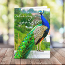Recherche de paons élégants vœux cartes Oiseau
