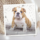 Zoek naar witte hond servetten Chic