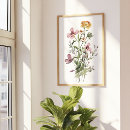 Zoek naar boeket bloemen posters Zomer