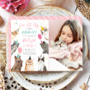 Recherche de chaton rose invitations Patte