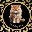 Recherche de kitty face tasses Pour tous