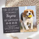 Recherche de stayer Anniversaire
