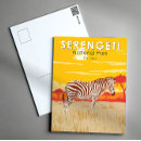 Recherche de zebra cartes postales Afrique