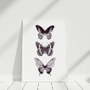 Recherche de papillon noir et blanc posters Pour tous