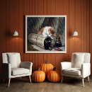 Zoek naar knip posters Kittens