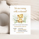 Recherche de lionne invitations Animaux de safari