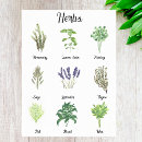 Recherche de basilic posters Herbes