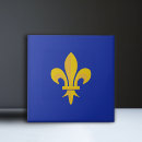 Recherche de la nouvelle orléans carreaux Fleur de lis