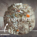 Recherche de historique coussins Pour eux