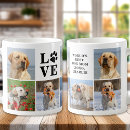 Recherche de images de chiot tasses Dogs