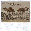 Recherche de chameau cartes postales Animaux