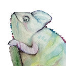 Recherche de cameleon horloges Lézard