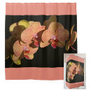 Recherche de phalaenopsis Beau