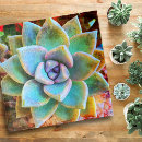 Zoek naar close up puzzels Cactus