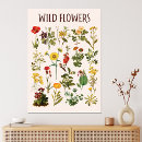 Zoek naar plant grafiek posters Biologie