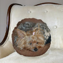 Recherche de yorkshire terrier décoration coussins Chiot
