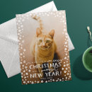 Recherche de chat heureux vœux cartes Amoureux des chats