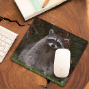 Recherche de racoon tapis souris Animal