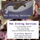 Recherche de coussins cartes visite Chaise