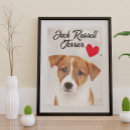 Recherche de jack russell posters Chien