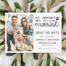 Recherche de humain invitations Amoureux des chiens