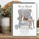 Recherche de chien basset hound invitations Pour tous